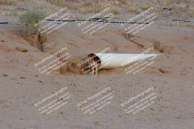 media/May-26-2024-TrackXperience (Sun) [[9b53715927]]/5-Turn 16 Foxes/